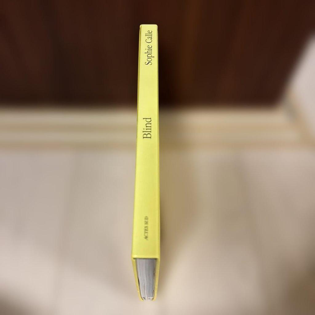 [USED] Out of print Sophie Calle Blind