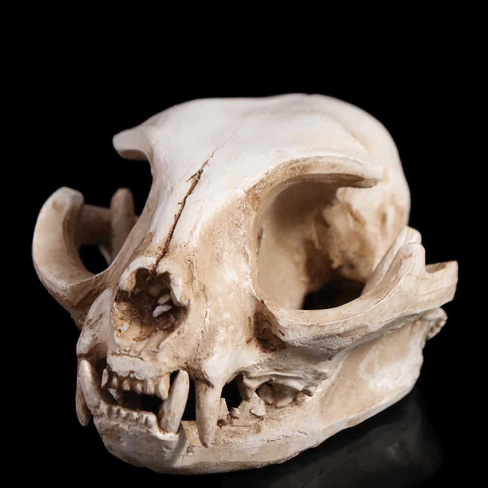 Scary Animal Skull Ornament Funny Cat Skull Statue Artificial Skull Head Halloween Decor Gifts