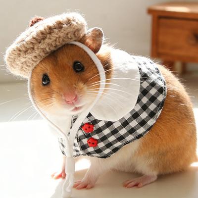 1 Ensemble Vêtements pour Hamster Chapeau Tricoté avec Sangle Réglable Haut au Crochet Hamster Cochon d'Inde Petits Animaux Accessoires de Costume Fournitures pour Animaux de Compagnie