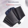 Yan Wang 10-Rib Large UV Protection Folding Umbrella