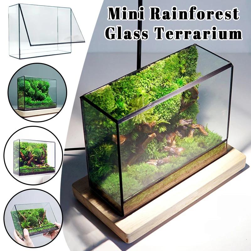 Mini Ver Rainforest Fougère Mousse Carré Écologique Géométrique Miniature Terrarium en Ver Pot à Plantes Récipient Serre de Table