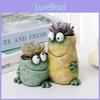 Cartoon Frog Resin Decoration Creative Funny Home Garden Planter For Kids And Adults