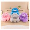 Creative Crown Baby Sit-Up Sofa – Anti-Tip Infant Learning Seat
