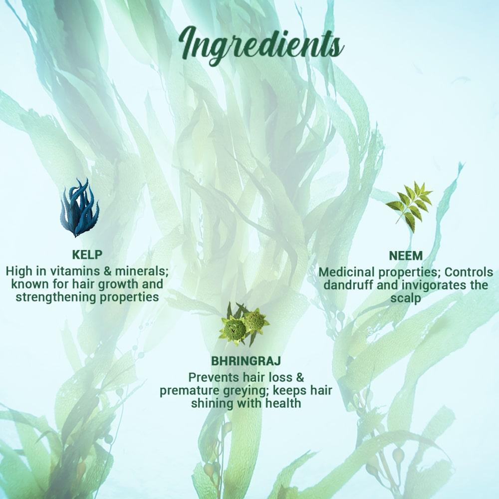 Biotique Ocean Kelp Anti Hairfall Shampoo 650ml | Natural Hair Growth Therapy | Strengthens & Shines | 100% Botanical Extracts