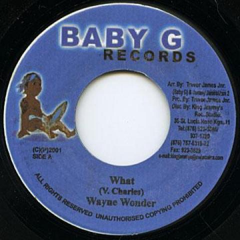 

7inch Record WAYNE WONDER - What Baby G 2001 Jamaica Reggae, Ska & Dub