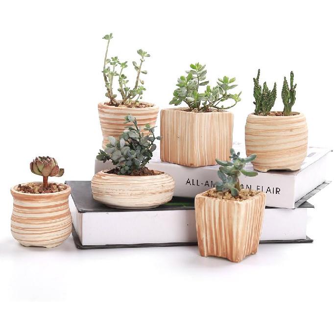 Sun-E 3 Inch Ceramic Wooden Pattern Succulent Plant Pot Cactus Plant Pot Flower Pot Container Planter Gift Idea 6 in Set