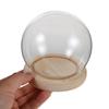 1 Set Round Glass Display Dome Cloche Wood Base Small For Preserved Flowers Figurines Decoration Transparent Dust-Proof Showcase