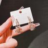 Fashion Hollow Synthetic Zircon Rose Earrings Women's Niche Exquisite High Sense Internet Celebrity Earrings Light Luxury New Trendy Earrings