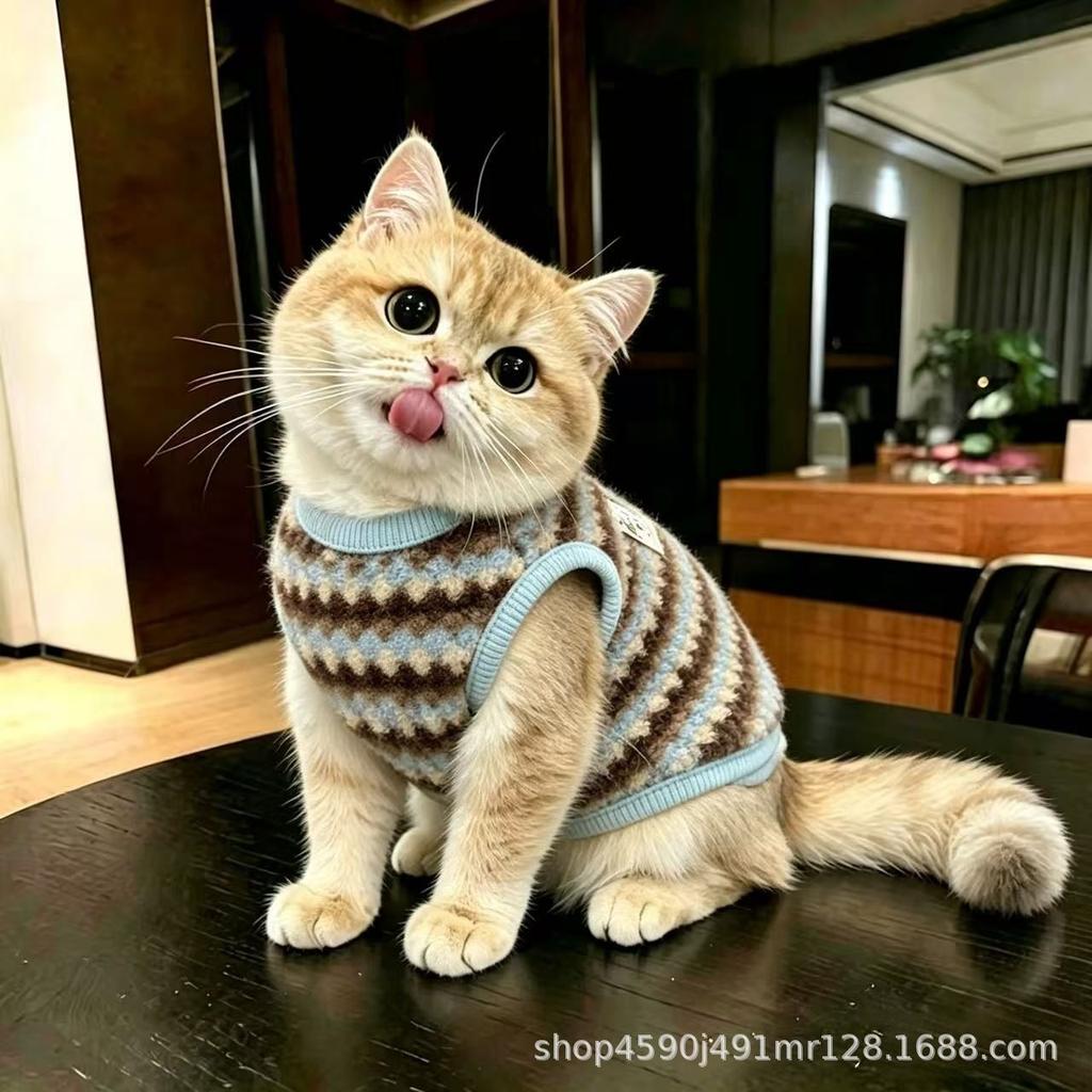 Dog Clothes Autumn/Winter New Maillard Striped Shirt Warm Fleece Jacket Small Dogs and Cats Winter Fleece-Lined Vest