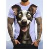 Men's Clothing New T-Shirt Humor Dog 3D Printed Short Sleeve