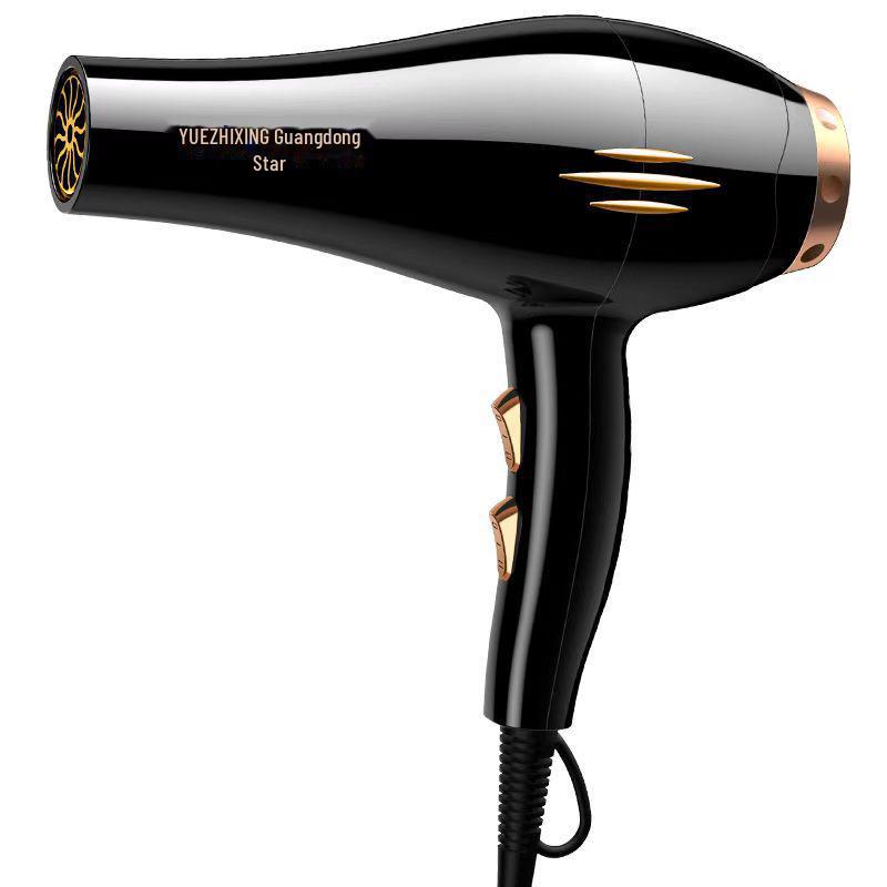 High-Power Hair Salon Dryer for Homes