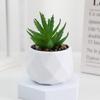 Diamond Succulent Set: Desktop Potted Ornament Decor