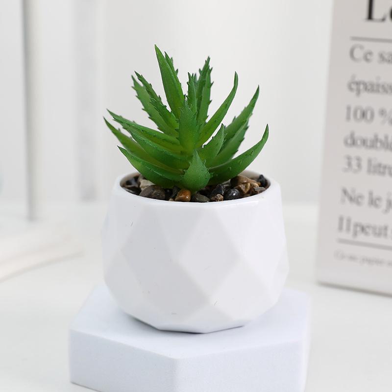 Diamond Succulent Set: Desktop Potted Ornament Decor