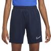 Nike Shorts Kids' Obsidian Color CW6109-451