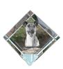 Fox Terrier Smooth – Crystal Cube with a Photo, Photo of a Horse In Crystal |