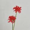 Real Touch Artificial Higanbana Flower 2 Heads Simulation Equinox Flower  Party Decorations
