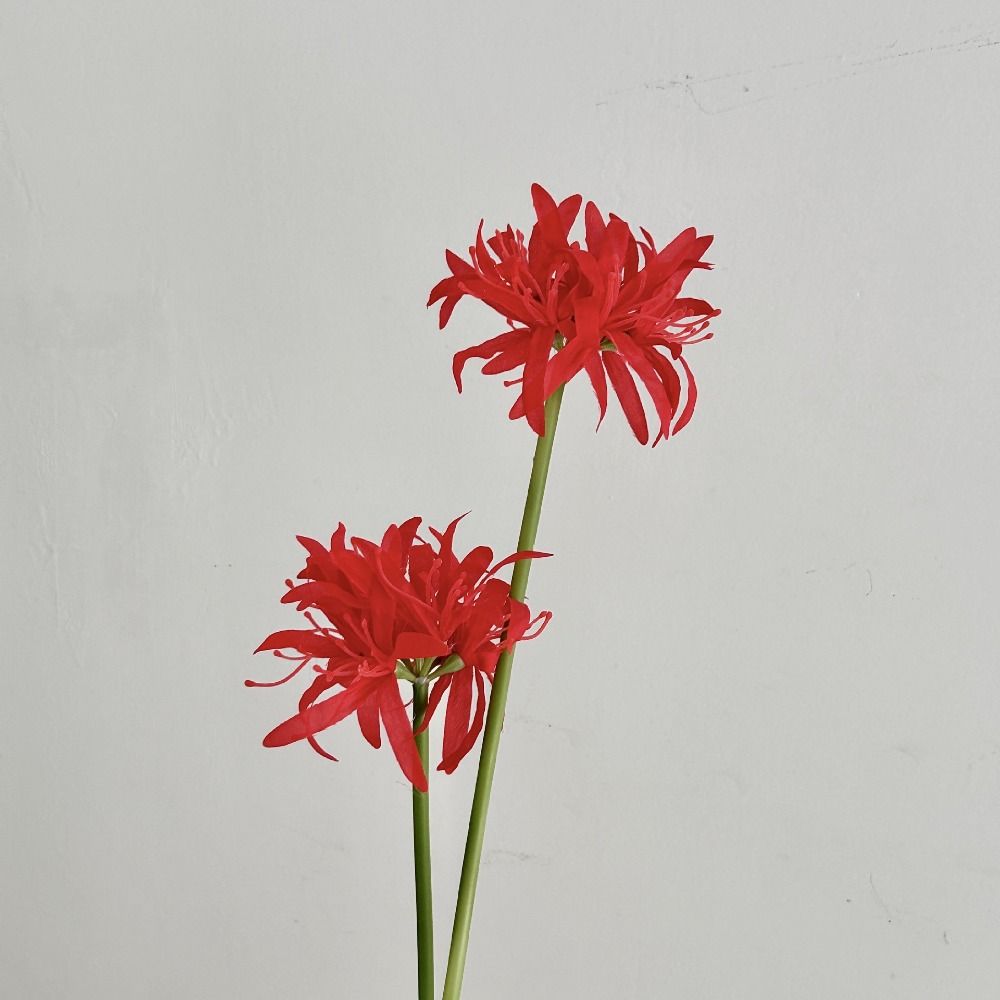 Real Touch Artificial Higanbana Flower 2 Heads Simulation Equinox Flower Party Decorations