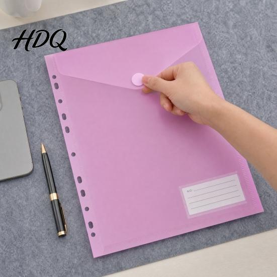 Subject Sorting Folders Clear Poly Envelope Binders Pocket Insert with Hook