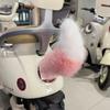 Telecomando Adesivo Coda Che Scodinzola Peluche Soffice Peluche Coda Che Scodinzola Decorazione Esterna Auto