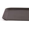 Ino Shokai Binchotan Charcoal Cleaning Cutting Board Helper (Made in Japan) BS2-m
