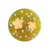 Ocean Themed Skin Picking Fidget Toy Kawaii Picky Pad Sensory Fidget Toy  Sensory Anxiety