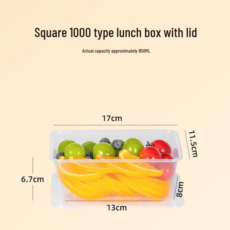 Temeiju Disposable Rectangular Takeout Meal Boxes with Lids, 300-Count