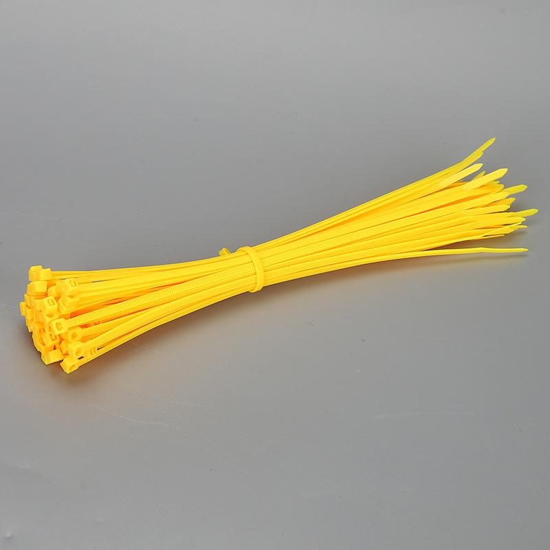 3×200mm Size 100Pcs/Bag Multicolor Slef-Locking Nylon Cable Tie Quickly Bundle Plastice Loop Wire Wrap Random color