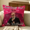 Celebrity Mr Worldwide Cushion Cover Pillow Cover Nordic Minimalist Throw Doublesided Print Cushion Case For Sofa Bedroom Decor