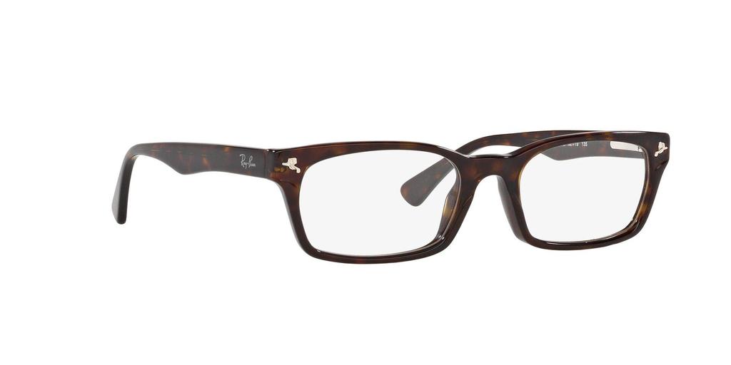 Sunglasses RX5017A Lightweight [Ray-Ban]