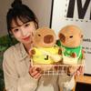 Cartoon Capybara Doll Clothes DIY Doll Accessories Cute Capybara Plush Doll  for Birthday Gift