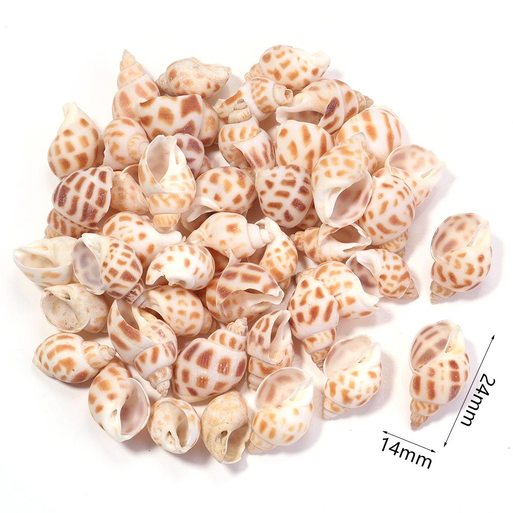 

40g/bag Natural Shell Beads No Hole Conch Shell For Jewelry Making DIY Necklace Bracelets Home Fish Tank Decoration Accessories