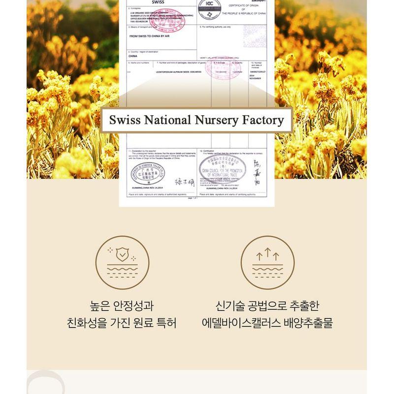 MEDIPEEL - Cell Toxing Dermajours Repair Augencreme