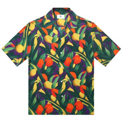 Deosyeocheuhauseu Hawaiian Shirt Henri-Multi