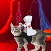 Funny 3D Knight Killers Costume for Dogs Pet Holiday Accessories Halloween Suitable for Cats and Dogs
