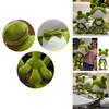 Adorable Soft Plush Frog Stuffed Animal Toy Ideal For Kids Bedtime Cuddly Pillow