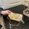 Super Popular Chain Box Bag Niche Trend Acrylic Bag 2025 New High-End Handheld Evening Bag