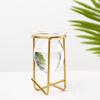 Decoration Plants Frame Glass Planter Hydroponic Vase Iron Geometric Pattern Terrarium Metal Holder