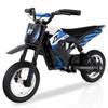 Electric Kids Motorcycle - RCB - RCB-R9X - 300W Motor - 25 Km/h - Range 17 Km