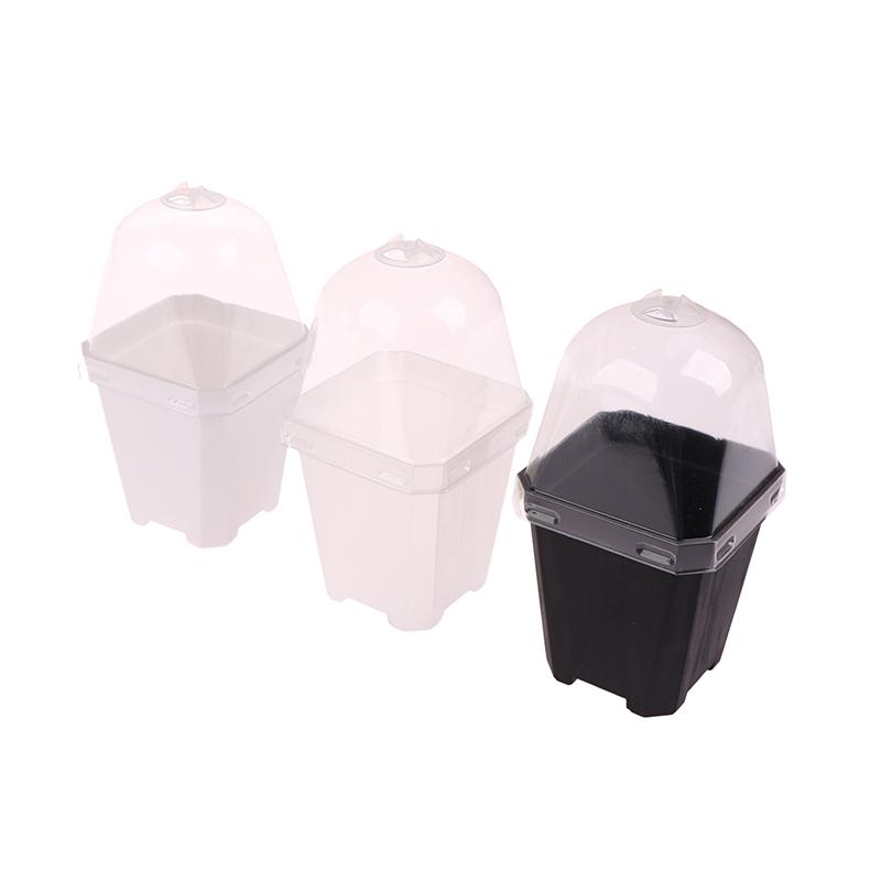 5Pcs Square Small Flower Pot With Humidity Dome Seedlings Planting Pots