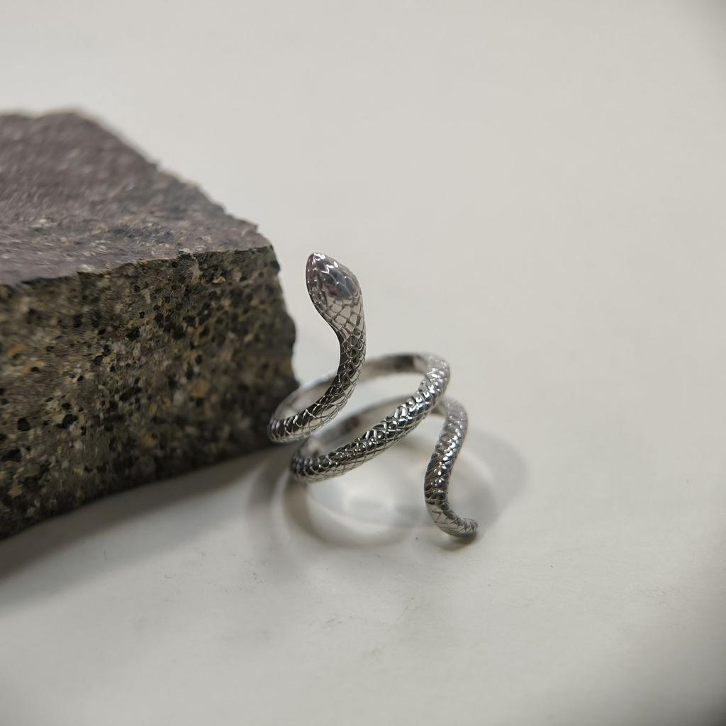 Silberring ohne Steine, Produktgewicht 6,68 g (2177555)