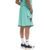Jordan X NBA Charlotte Hornets Player Edition Shorts Men Shorts Mint-Green FQ4400-356