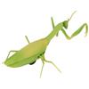 RC Mantis Children Simulated IR Remote Control Mantis Mischief Toy for April Fools" Day Party