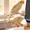 Wear Resistant Parrot Defecation Stand Bite Resistant Bird Feeding Rack  Bird Entertainment
