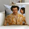 Federa Cuscino Artista Musicale Harry Styles Morbida e Facile da Lavare – Versatile Per Divano, Letto, Viaggio E Ufficio