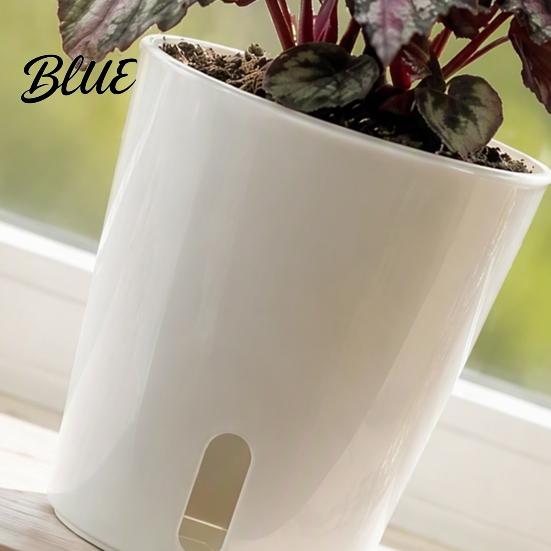 Mini Planters for Alocasia Corms Self Watering Plant Pots Indoor Plants Small with Water Level Indicator Clear Flower Windowsill Inner Cup Drainage