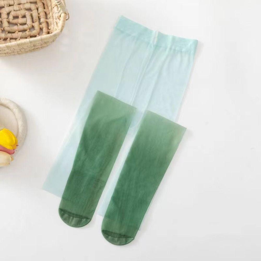 Thin Gradient Stockings Transparent Women Gradient Tights Stylish Pantyhose Tights  Women