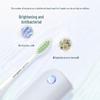 Philips Sonic Electric Toothbrush HX2451 CN Plug (adapter Included)