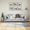 VidaXL Shaggy Rug with Long Pile, Floor Carpet, Area Rug, Living Room Carpet, Indoor, Modern, 375324