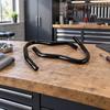 German Motorcycle Brand Model 18 Engine Impact Bar Glossy Black Front