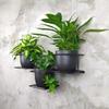 Jungle Hanging Wall Flower Stand, Modern Metal Holder for 3 Pots, Black, Horizontal